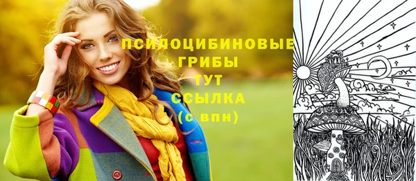 гидра Алексин