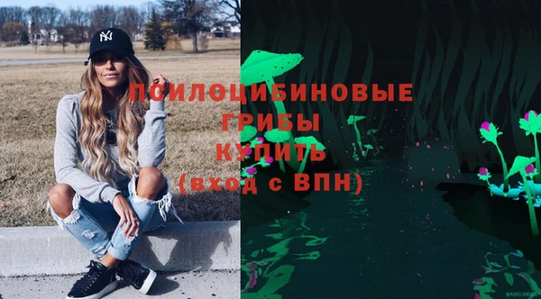гидра Алексин